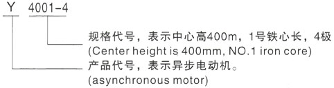 西安泰富西玛Y系列(H355-1000)高压YJTG-355L4-8A/200KW三相异步电机型号说明