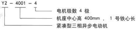 YR系列(H355-1000)高压YJTG-355L4-8A/200KW三相异步电机西安西玛电机型号说明